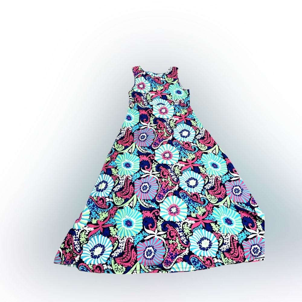 Talbots Sleeveless Maxi Dress Large Multicolor Paisley Floral Print - Picture 5 of 8